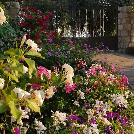 Casa Marianna Apartman Casa Morcone