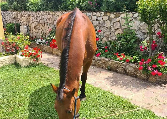 شقة Casa Marianna Casa Morcone